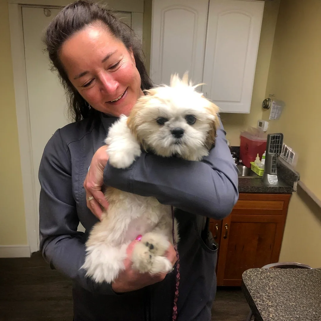 Smiling team member in gray scrubs holding a fluffy white puppy inside Post Road Veterinary Clinic.
