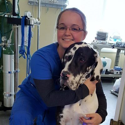Erin Practice Manager, Veterinary Assistant, Certified Laser Therapist
